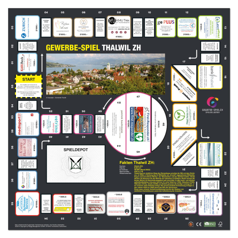 Gewerbe-Spiel_Thalwil_Spielfeld