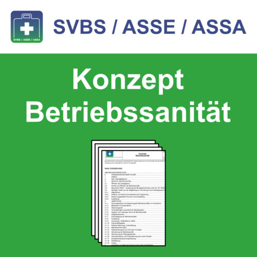 Konzept Betriebssanität SVBS